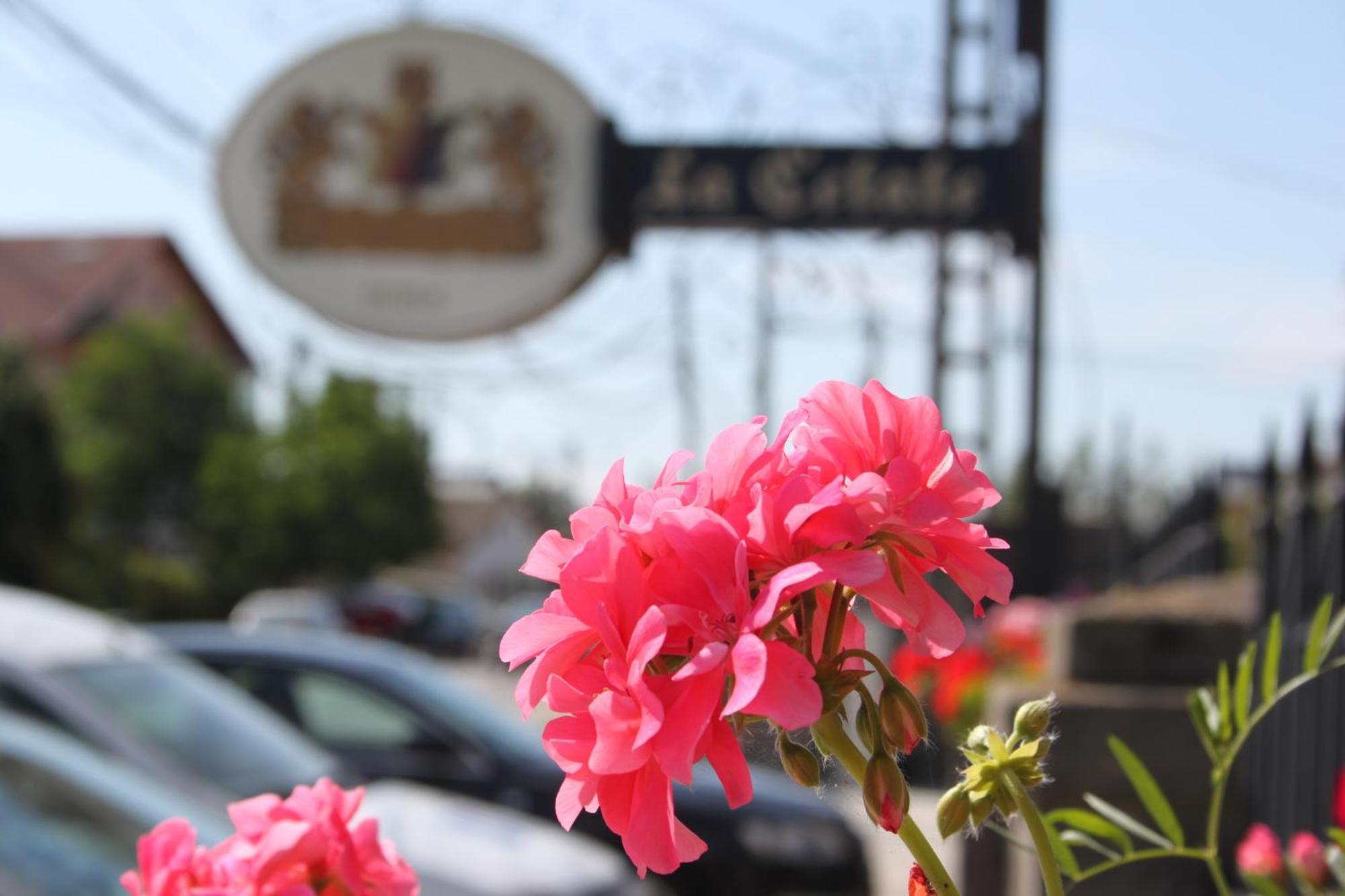Hotel Lacetate Piteşti Kültér fotó